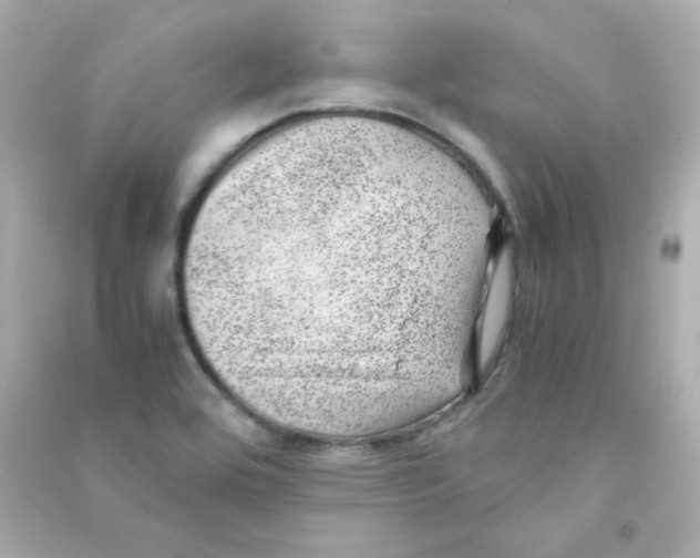 X0000090431464200708101954