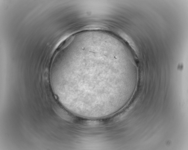 X0000090431465200708101954