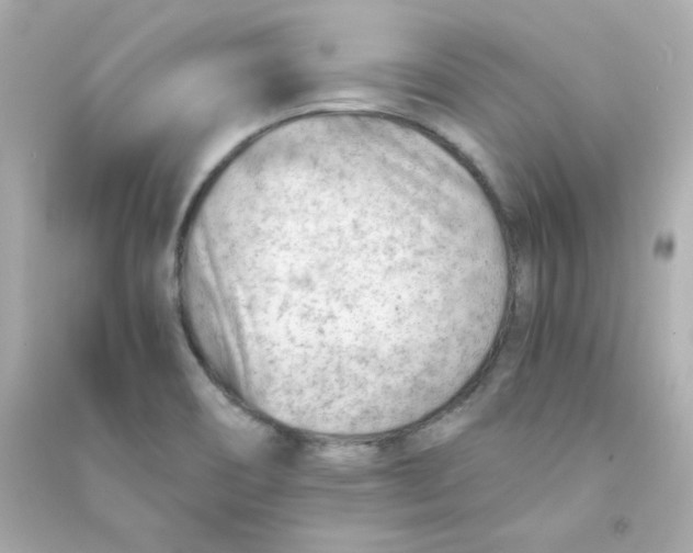 X0000090431466200708101954