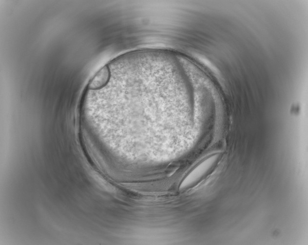 X0000090431467200708101954