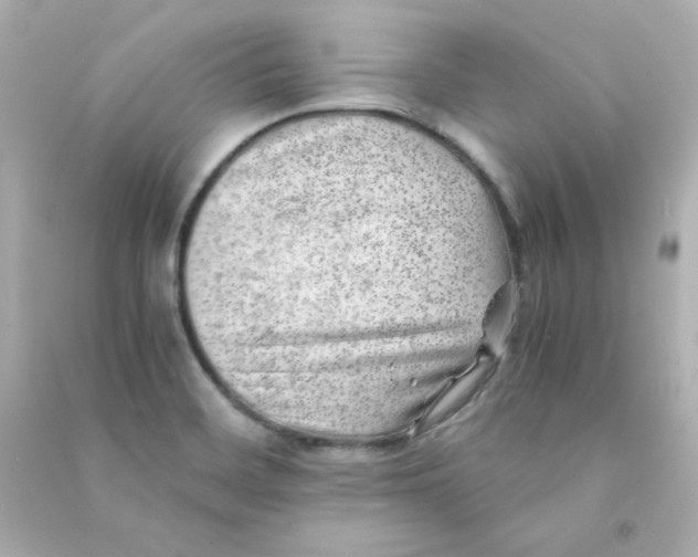 X0000090431468200708101954