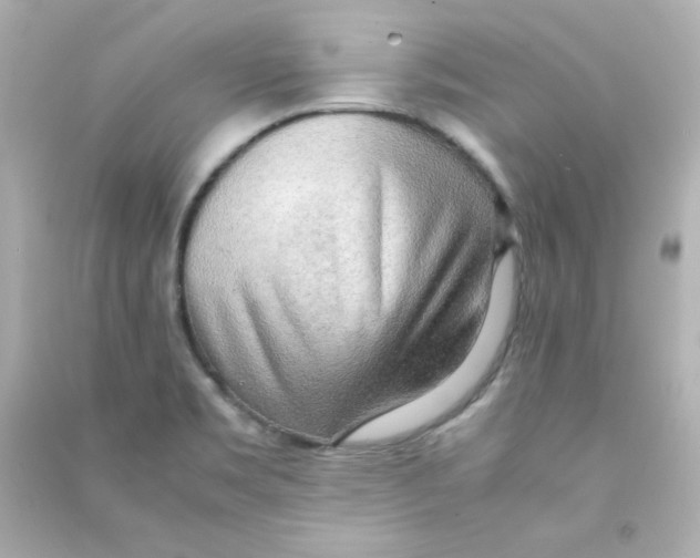 X0000090431469200708101954
