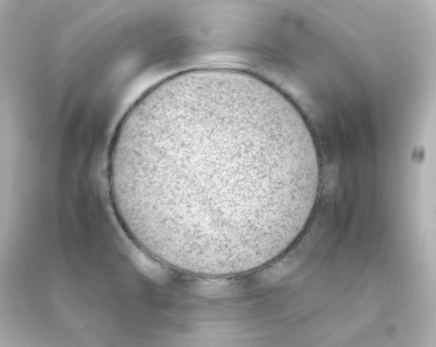 X0000090431470200708101954