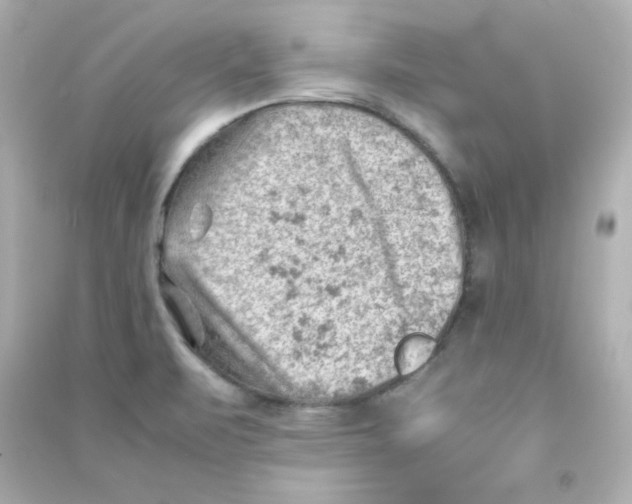 X0000090431471200708101954