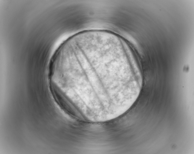 X0000090431472200708101954