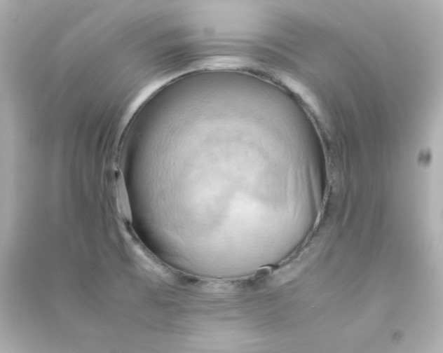 X0000090431473200708101954