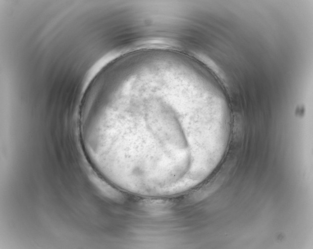 X0000090431474200708101954