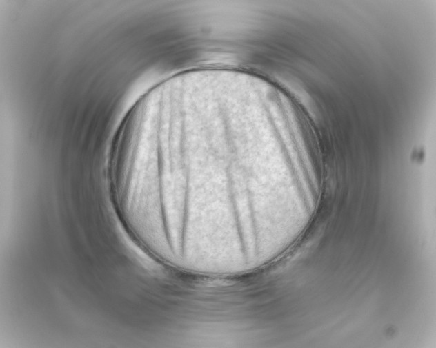 X0000090431475200708101954