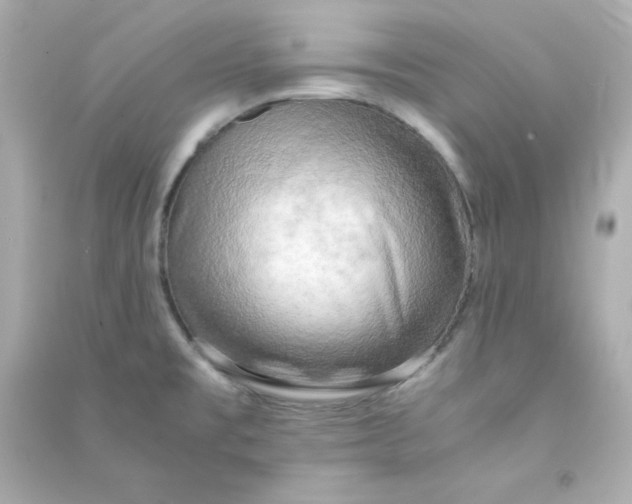 X0000090431477200708101954
