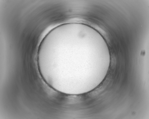 X0000090431478200708101954