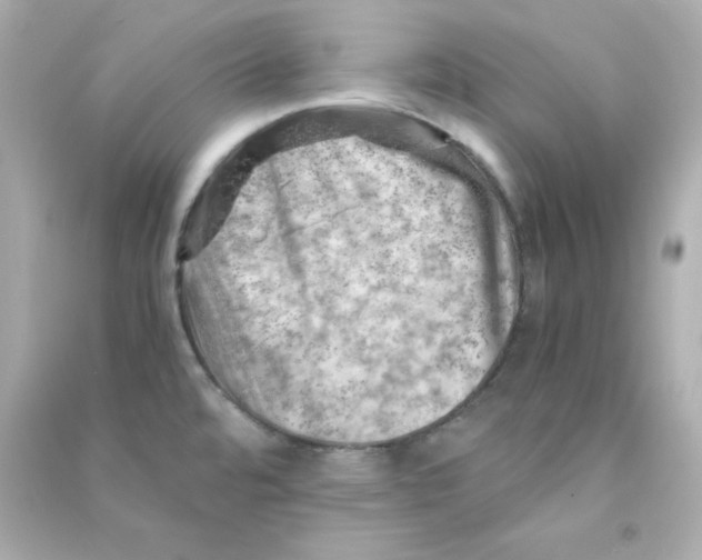 X0000090431480200708101954