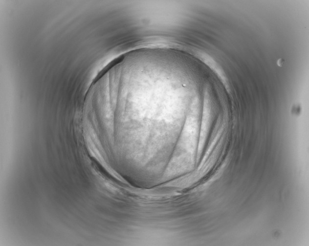 X0000090431481200708101954
