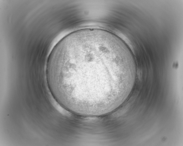 X0000090431482200708101954