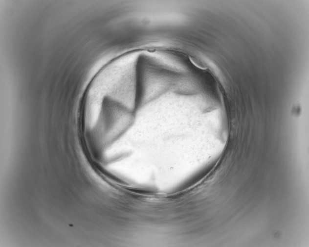 X0000090431483200708101954