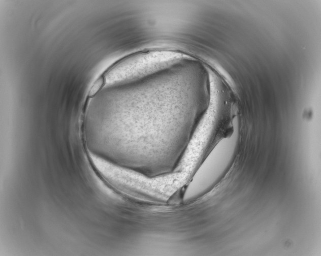 X0000090431484200708101954