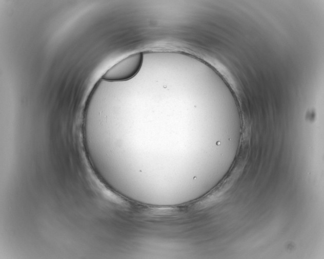 X0000090431486200708101954