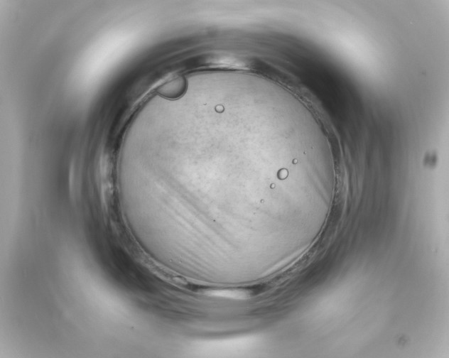 X0000090431487200708101954