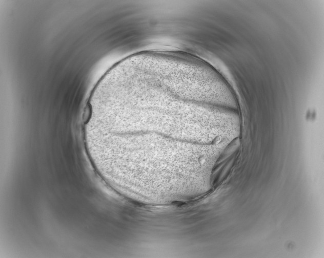 X0000090431488200708101954