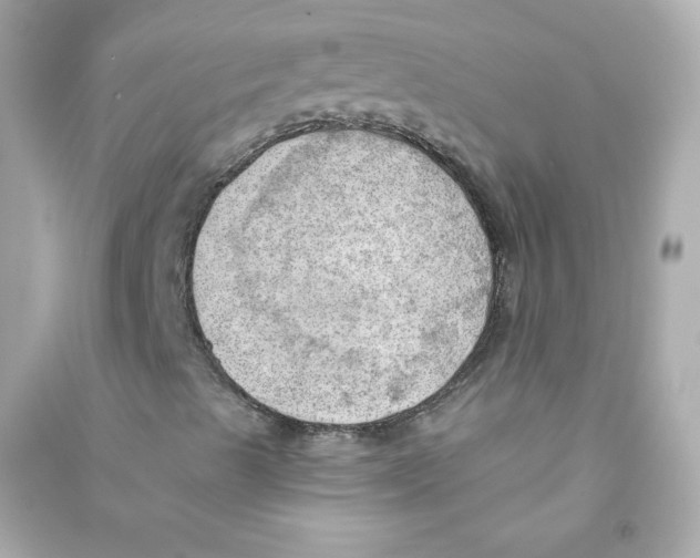 X0000090431489200708101953