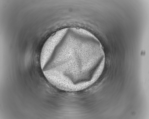 X0000090431490200708101953