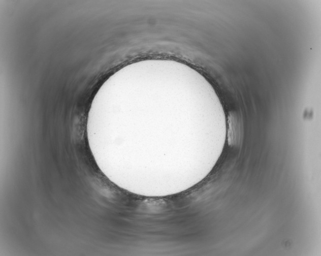 X0000090431491200708101953