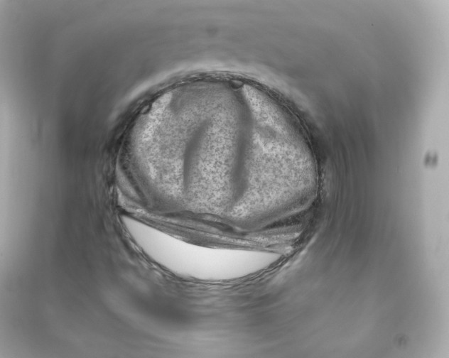 X0000090431494200708101953