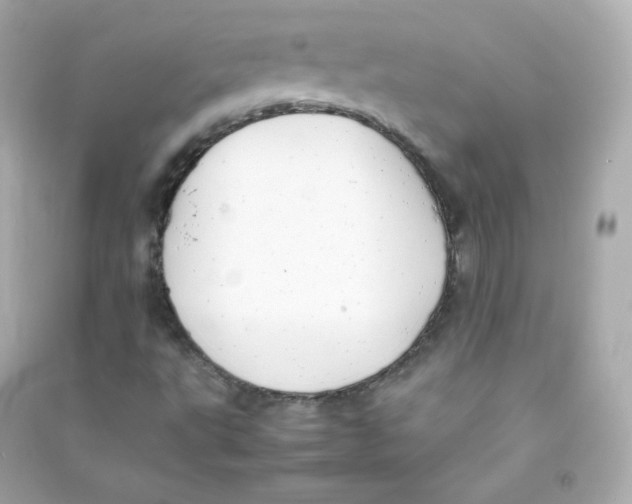 X0000090431495200708101953