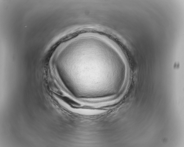 X0000090431496200708101953