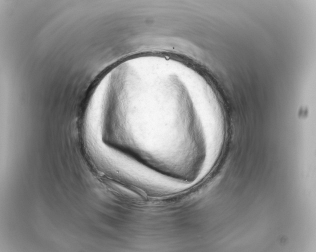 X0000090431497200708101953