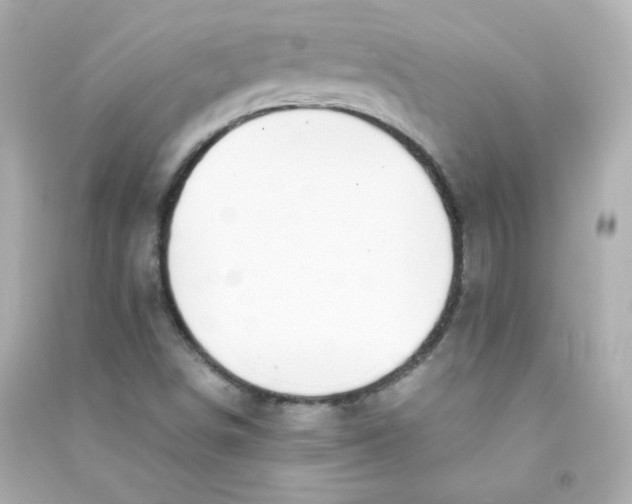 X0000090431498200708101953
