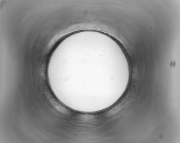 X0000090431499200708101953