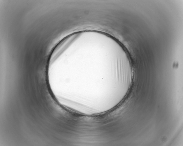 X0000090431500200708101953