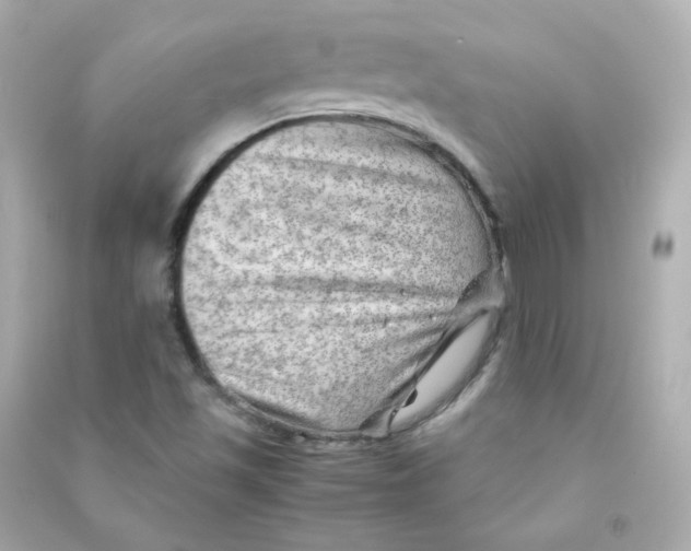 X0000090431501200708101953