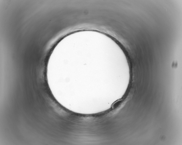 X0000090431502200708101953