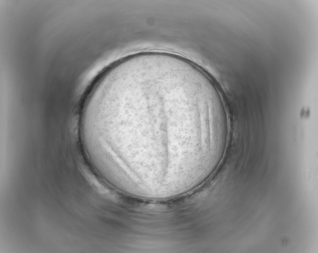 X0000090431503200708101953