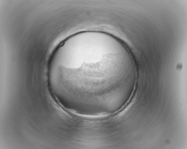 X0000090431506200708101953