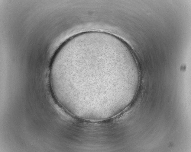X0000090431507200708101953