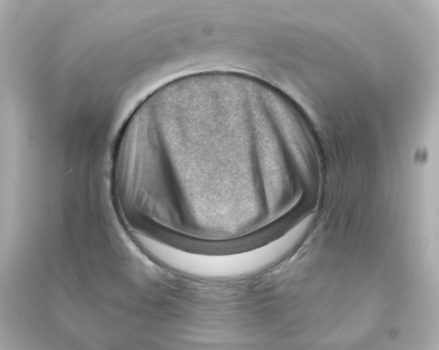 X0000090431508200708101953