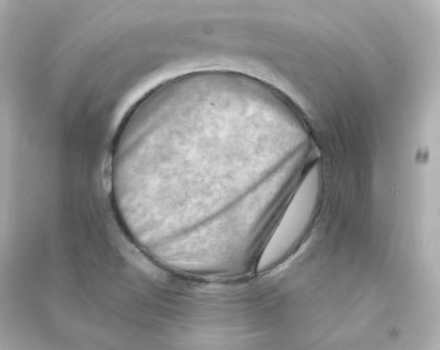 X0000090431510200708101953