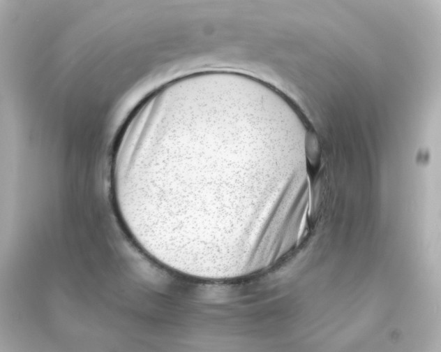 X0000090431511200708101953