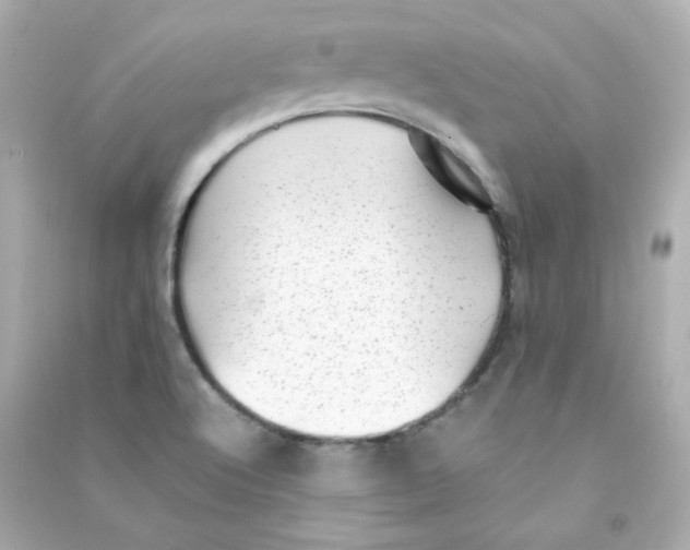 X0000090431512200708101953