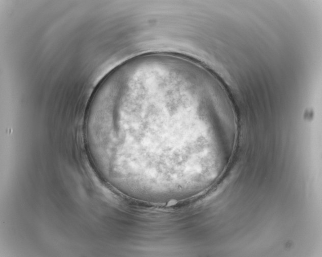 X0000090431513200708101953