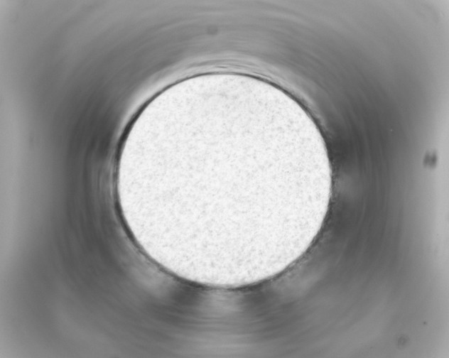 X0000090431514200708101953