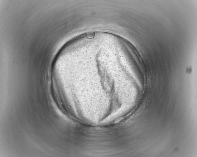 X0000090431515200708101953