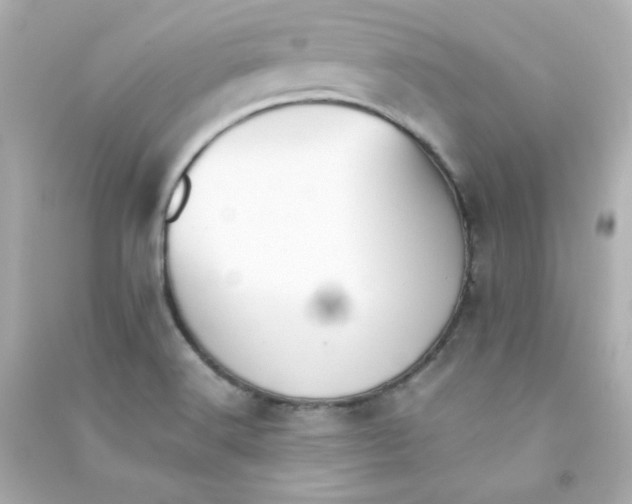 X0000090431516200708101953