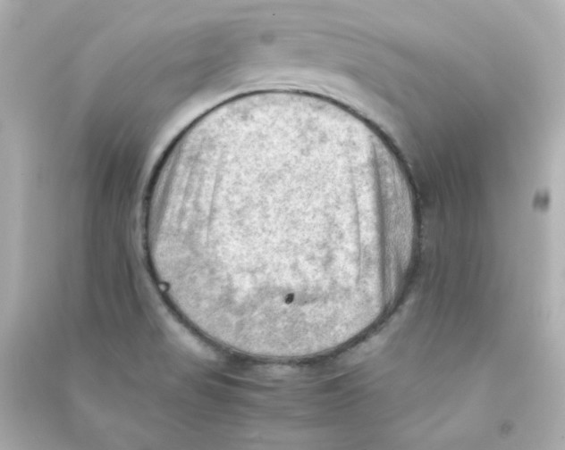 X0000090431517200708101953