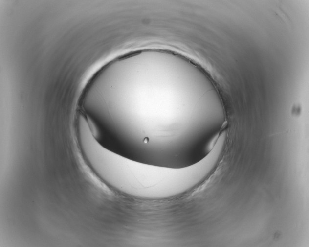 X0000090431518200708101953