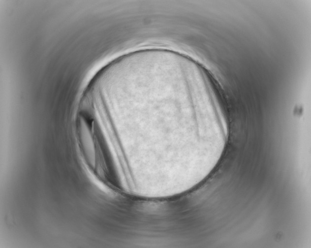 X0000090431519200708101953