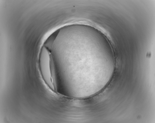 X0000090431520200708101954
