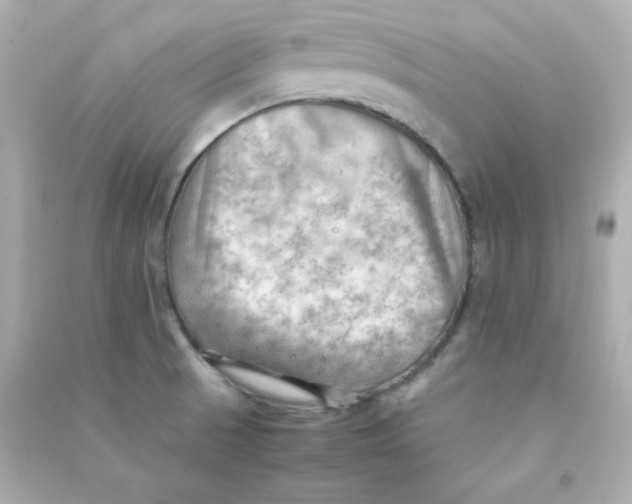 X0000090431521200708101954